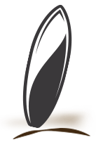 Skatinger - Wähle deine Größe 14'0''